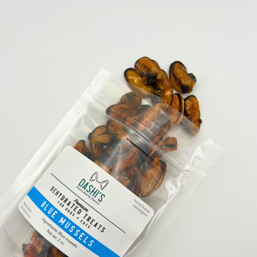 Blue Mussels - Dashi’s