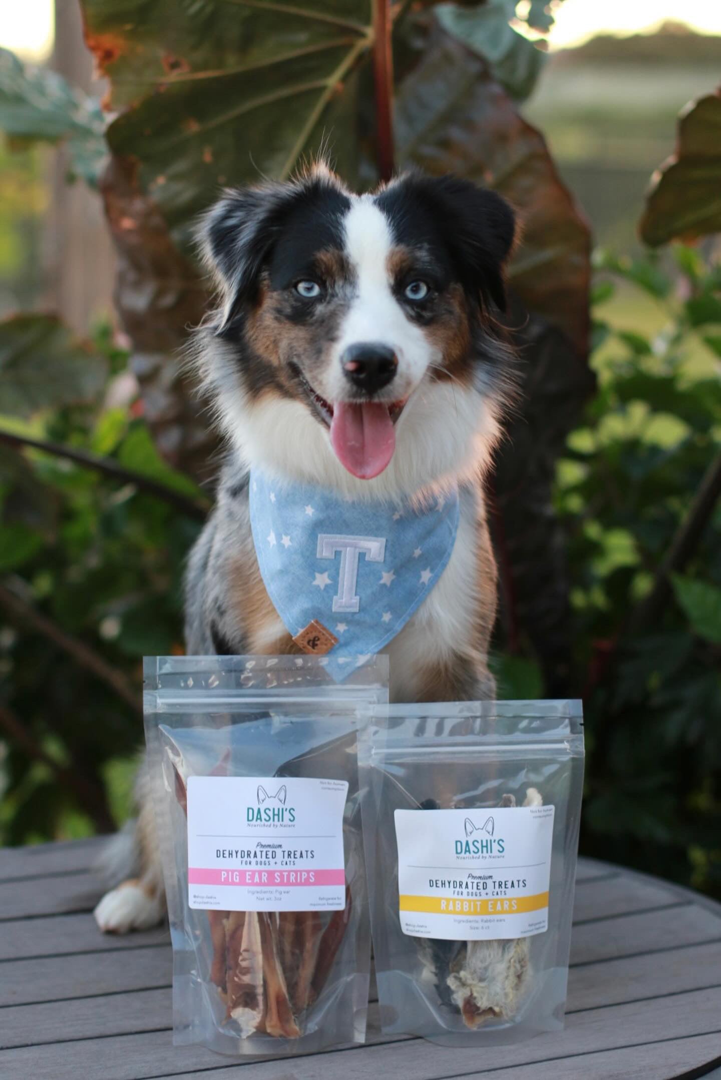 【2025春夏新作】 Dog - Dashi's Treats Dashi's – Enrichment & テープ・マスキングテープ
