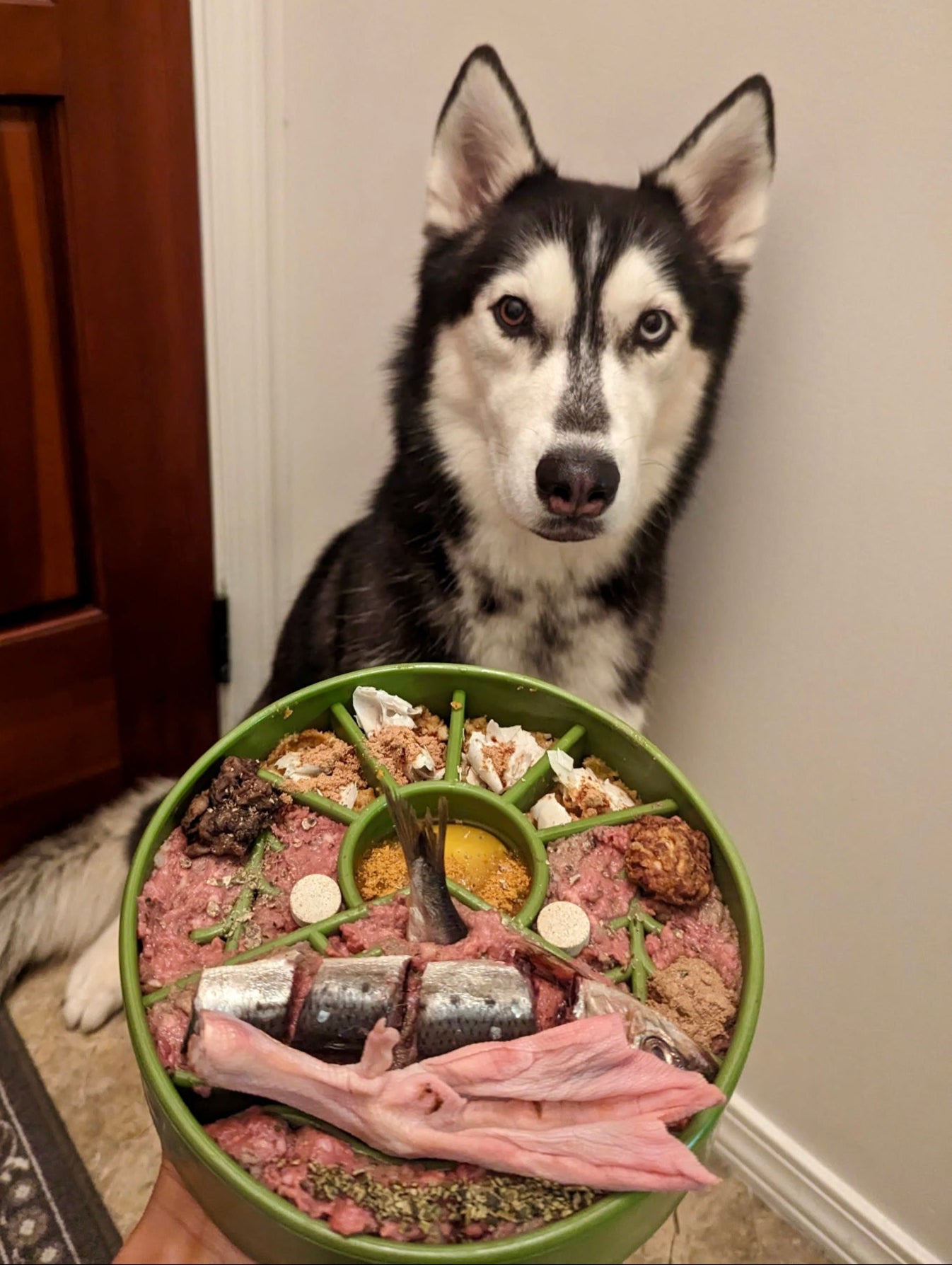 Dashi's - Dog Treats & Enrichment – Dashi's