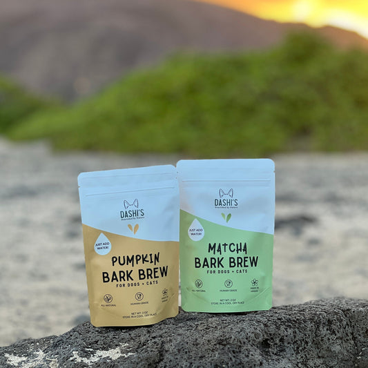 Matcha/Pumpkin Bark Brew Bundle