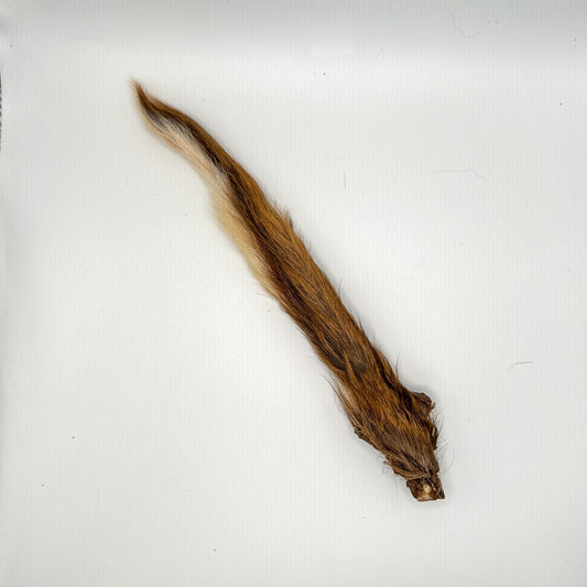 Venison Tail - Dashi’s