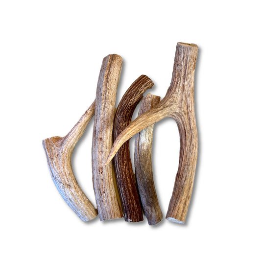 Venison Antlers - Dashi’s